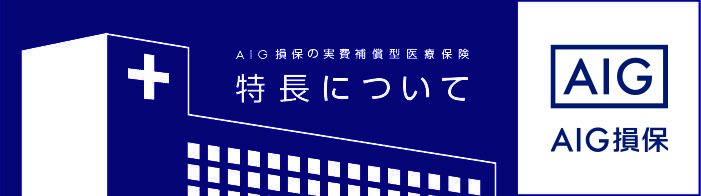 AIG損保の実質保証型医療保険 特長について