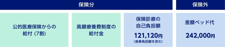 保険分 公的医療保険からの給付(7割) 高額療養費制度の給付金 保険診療の自己負担額121,120円(食事負担額を含む)　保険外 差額ベッド代242,000円