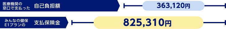 医療費の自己負担額363,120円　支払保険金825,310円
