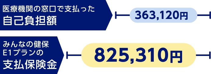 医療費の自己負担額363,120円　支払保険金825,310円