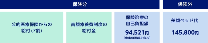 保険分 公的医療保険からの給付(7割) 高額療養費制度の給付金 保険診療の自己負担額94,521円(食事負担額を含む)　保険外 差額ベッド代145,800円